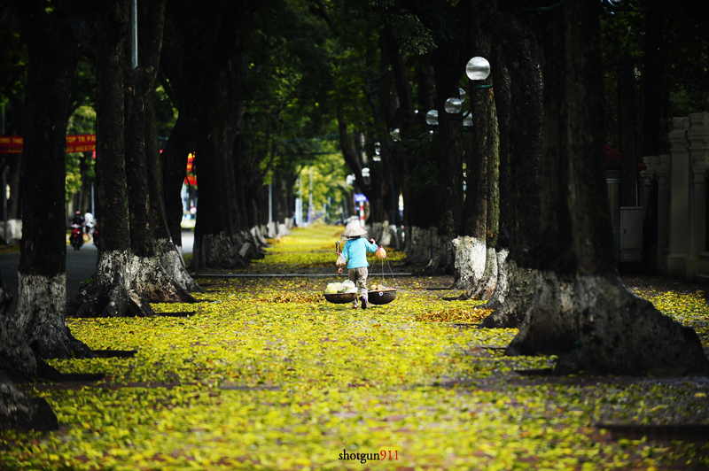 Classic Tour Hanoi - Halong - Ninh Binh 5D4N
