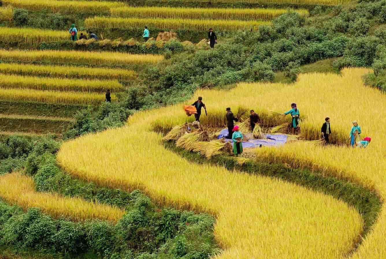 CODE VJ09: HANOI – HALONG CRUISE – SAPA 7DAYS 6NIGHTS