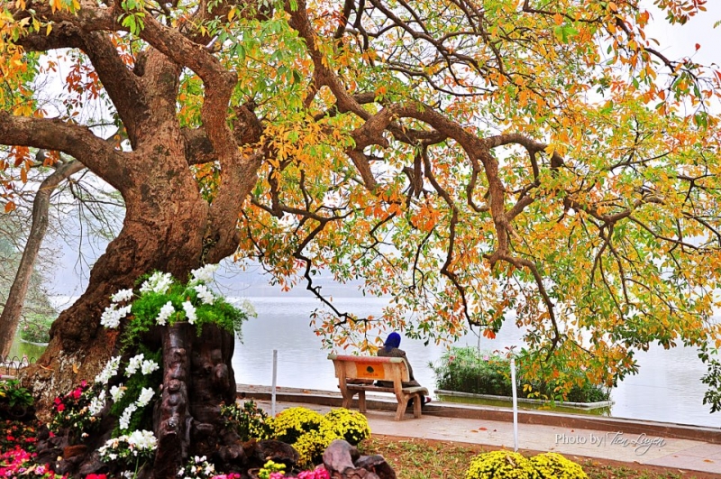 Hanoi city full day trip