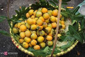 Classic Tour Hanoi - Halong - Ninh Binh 5D4N