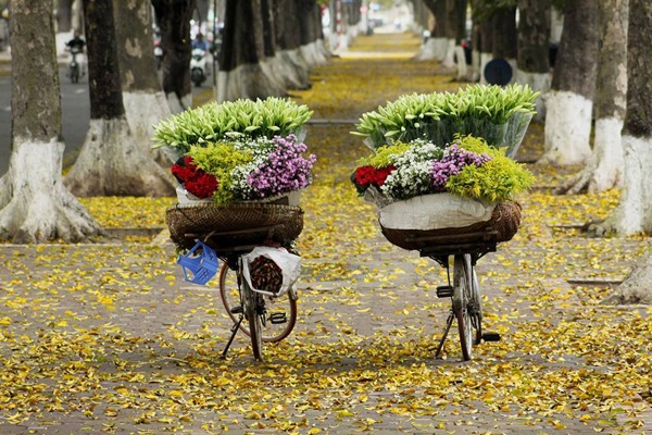 CODE VJ01: HANOI CITY TOUR PACKAGE 3 DAYS 2 NIGHTS