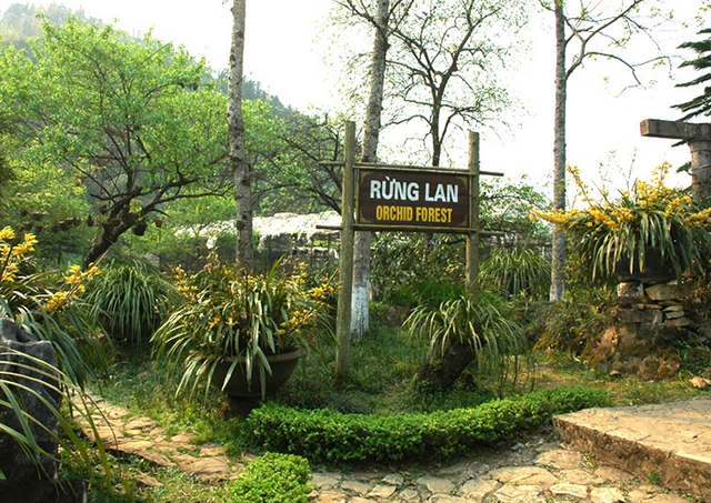 Ha Noi - Sa Pa 3 days 2 nights