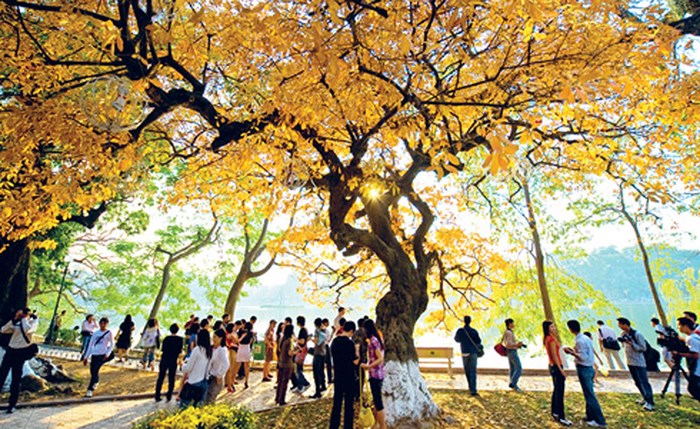 Classic Tour Hanoi - Halong - Ninh Binh 5D4N